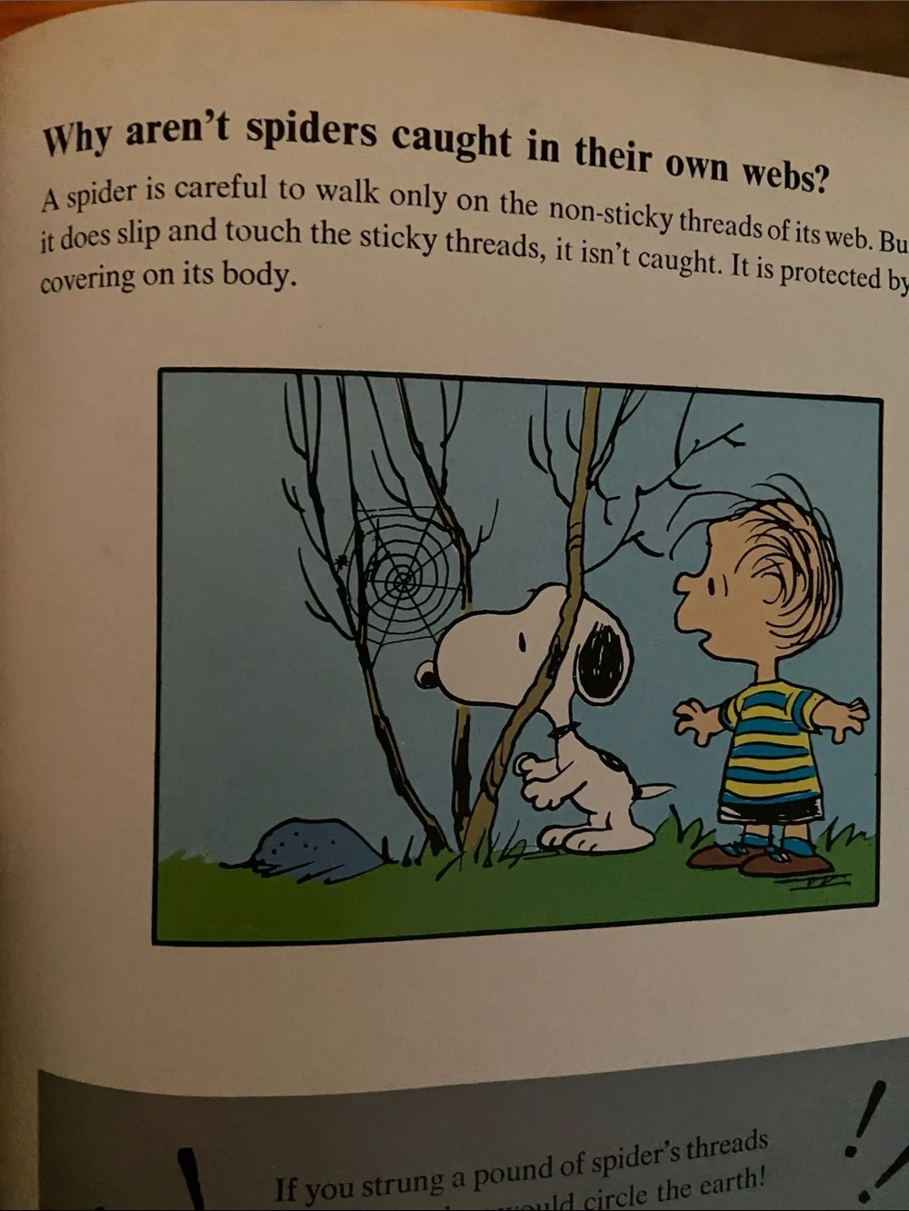 Vintage 70s 1970s Snoopy Peanuts Charlie Brown's Super Book Questions Answers hc